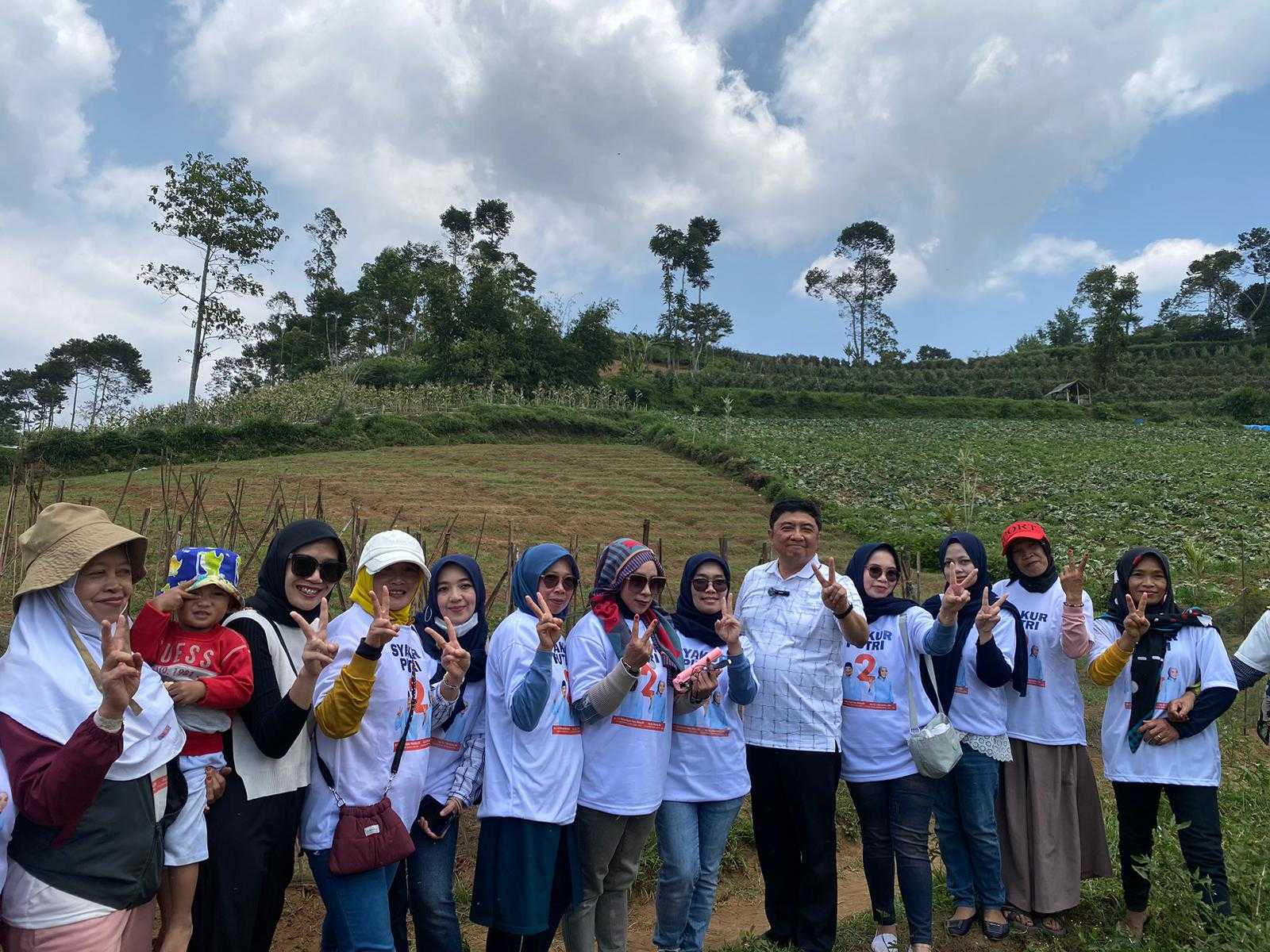 Cabup Garut Syakur Amin Terjung Langsung Panen Cabai, Berikan Solusi Nyata untuk Petani Cikajang